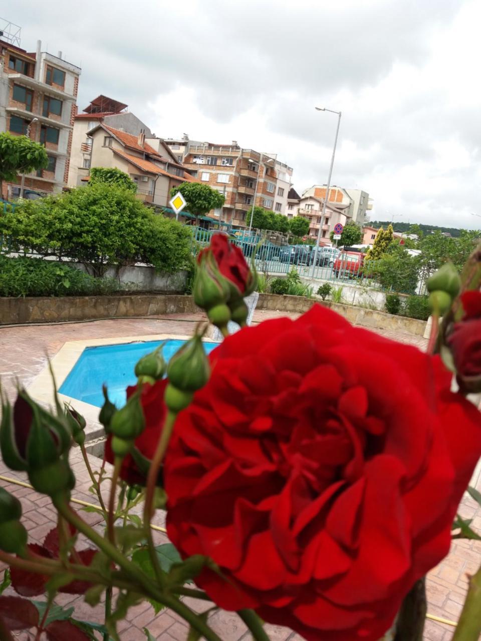 Alba Family Club Hotel พรีมอร์สโก ภายนอก รูปภาพ